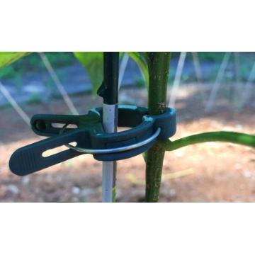 Clips de soporte vegetal para verduras de jardín de vides