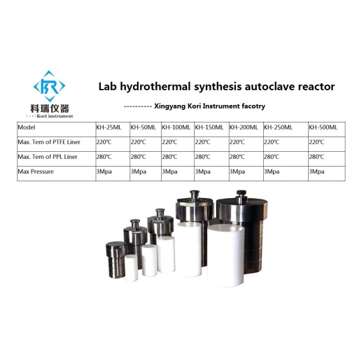 Reactor de síntesis hidrotermal de 100ml