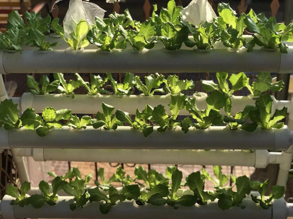 108 holes Garden Hydroponic System for home garden