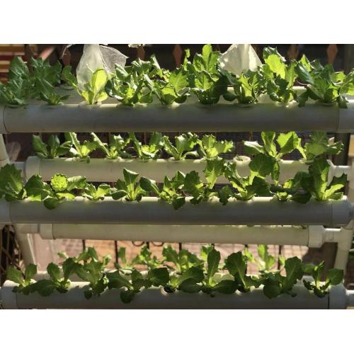 108 holes Garden Hydroponic System for home garden