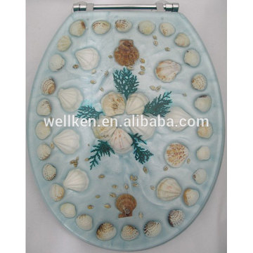 novelty lucite toilet seat