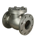 Gang ANSI Check Valve