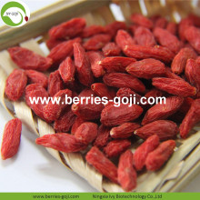 Wholesale Healthy Red Low Pesticide Goji Berries