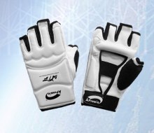 Taekwondo Hand Protector