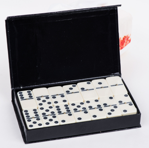 Popular Double 6 Plastic Dominoes