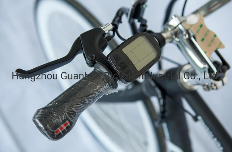 700c 45km/H Ce 24V8ah Hidden Battery OEM/ODM 180W City Fixie Gear Single Electric Biycle