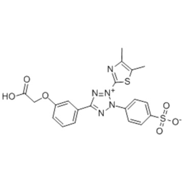 Metil celulose CAS 138169-43-4