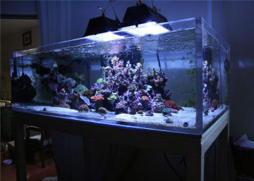 Lightweight Plexiglass Acrylic Aquarium Fish Tanks , Marine Aquarium Tanks