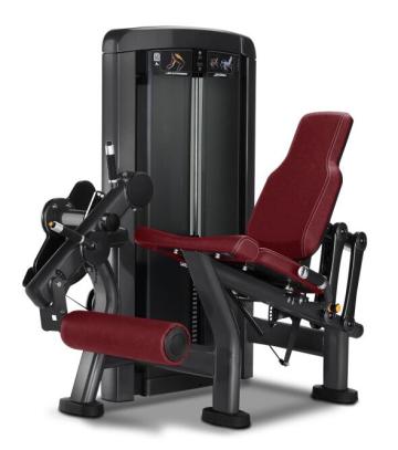 Thigh Extension Trainer Seated Leg Extension