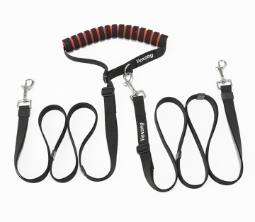 Dog Leash Set Double