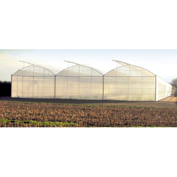 Tunnel agricole à bas prix multipan Greenhouse en plastique