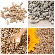 high quality sunflower kernels Chinese organic sunflower kernels