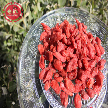 Vitamins Low Fat Nutrition Low pesticide Goji Berries