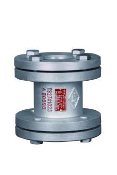 Economic Price Flanged Connection Cast Lifting Check Valve