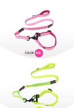 Reflective elastic dog leahsh and collar