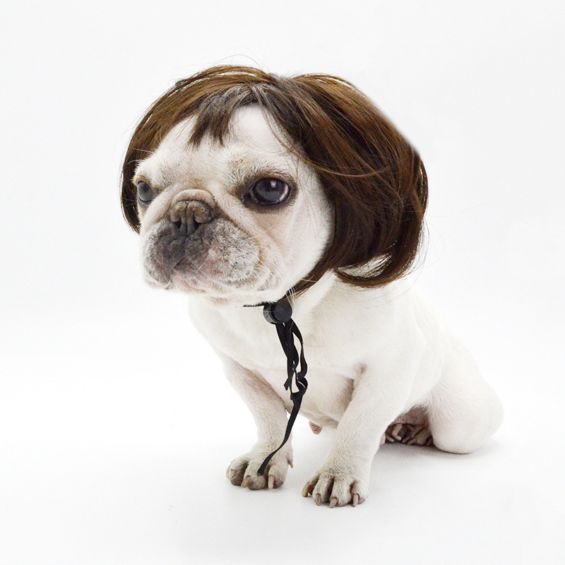 Pet headdress hat hood puppy costume cat wig Pet headdress hat hood puppy costume cat wig