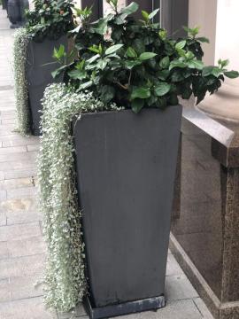 Square Cement Flower Pots Large Long