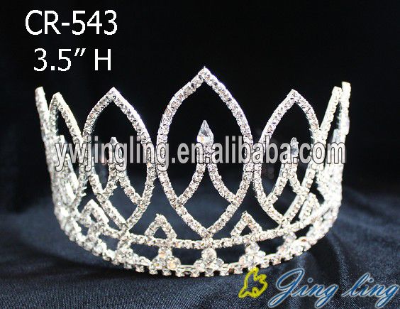 Silver Rhinestone Flower Princess Bridal Tiara Crown