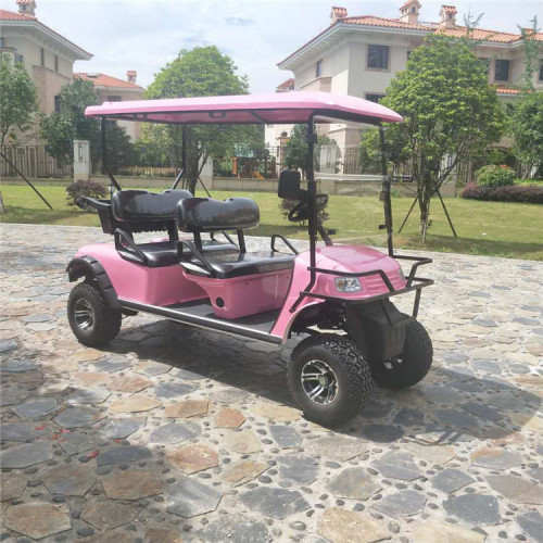 gas powered golf carts with good prices