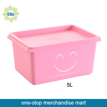 plastic storage box with lid