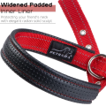 Soft Padded Dog Collar with Buckle