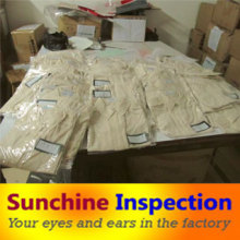 Garment Inspection Service / Blouse Quality Inspection