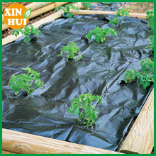 export quality pp weed control 105 g weed control fabric