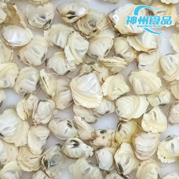 Vongole vive senza sabbia e carne di vongole congelate sbucciate