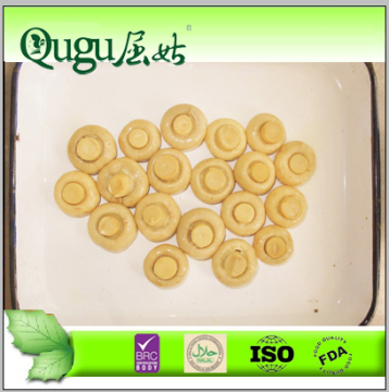 HACCP ISO hot sale canned mushroom in brine 314ml