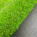 GACCI NO-FILL GOLF GREEN GRASS