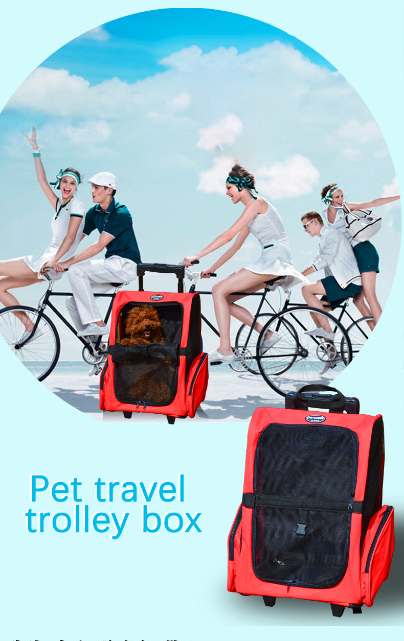Pet Travel Carrier