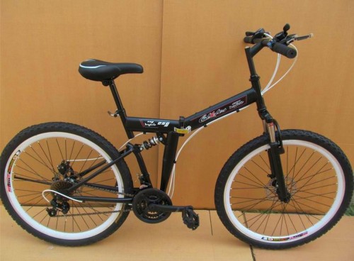20 inch folding MTB bike/ mountain bicycle