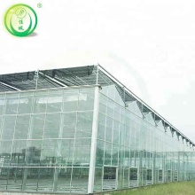 Shading System Agricultural Commercial Glass Greenhouse