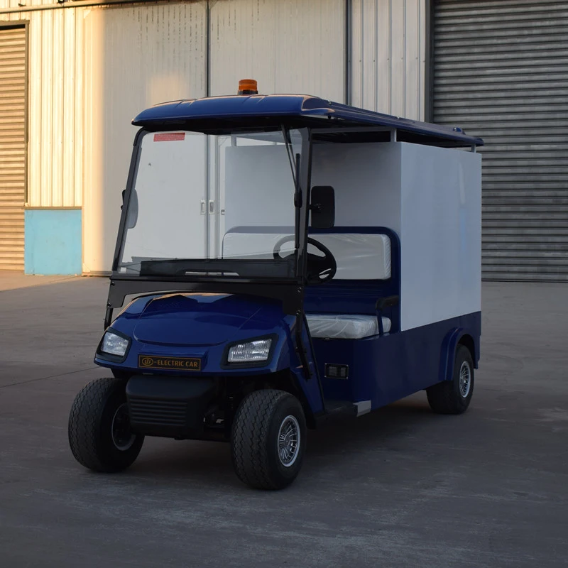 48V 2 Seater Electric Hotel Use Golf Car with Cargo Box