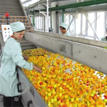 Turnkey Production Line for Peach, Apricot, and Plum Juice, Puree, Jam, and Concentrate