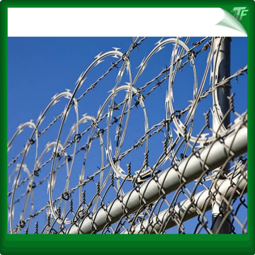 Green galvanized barbed iron wire