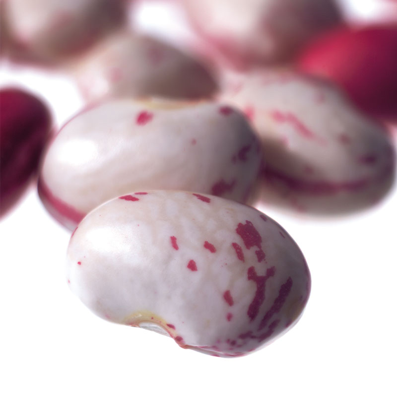 white kidney beans