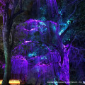 Luce dell&#39;albero in fibra ottica effetto film avatar