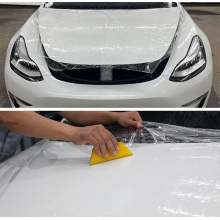 paint protection film stealth wrap cost