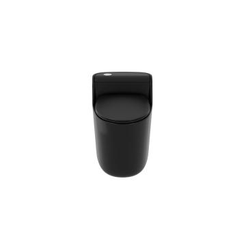 Матовый черный цвет керамический сифонический туалет.