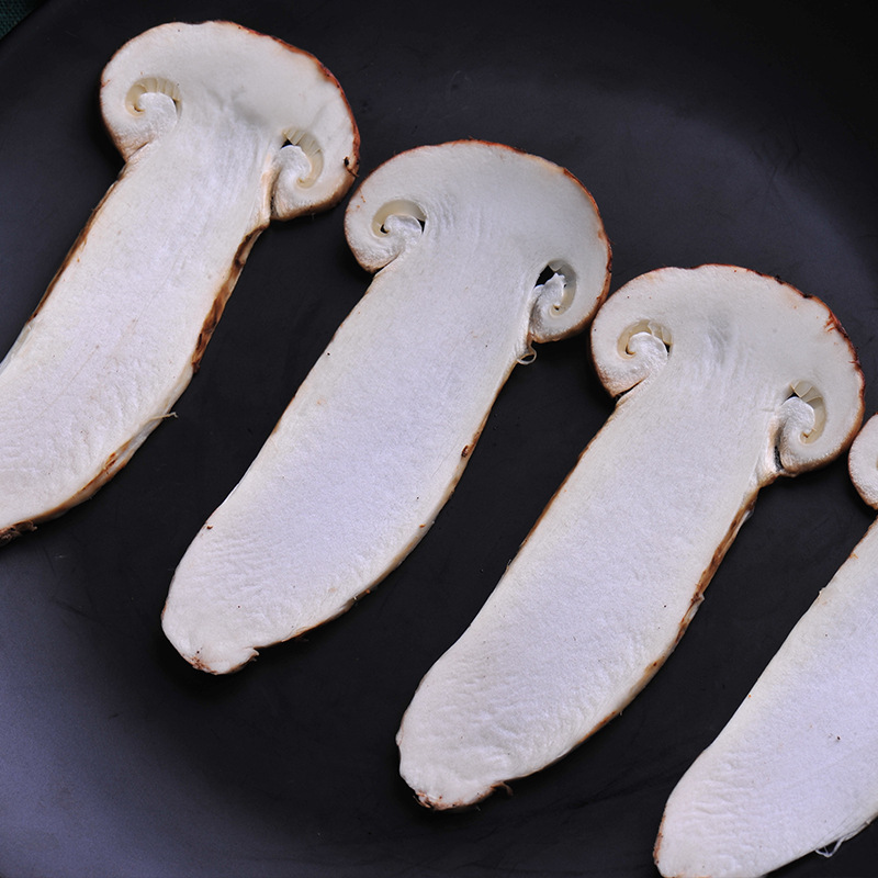 أفضل المجففة Tricholoma Matsutake