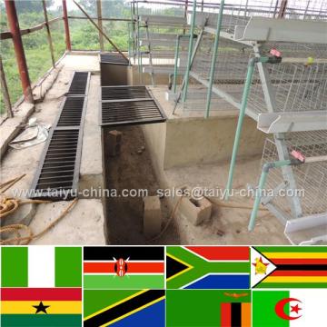 African warehouse and office poultry farm in malaysia farm