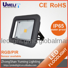 outdoor colored flood lights