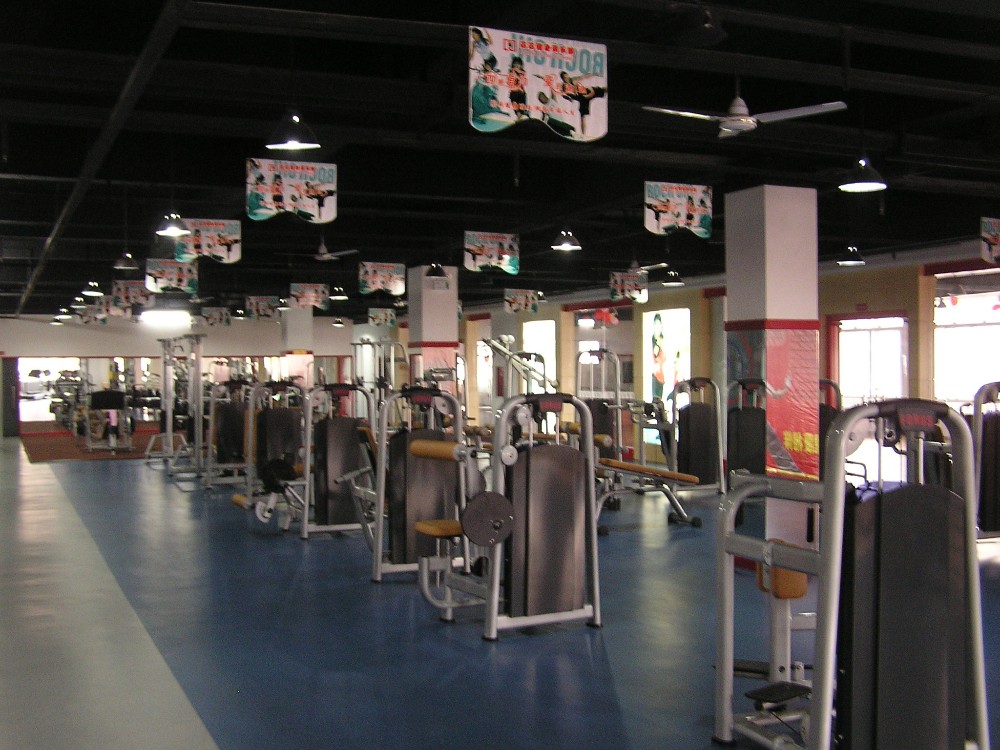 Gym Room Used Professional Commercial Vertical Knee Raise