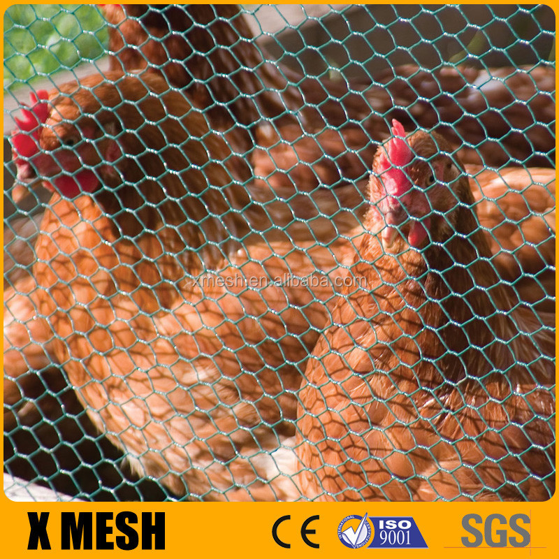 ASTM A390 hot sale Hot Galvanized electric net poultry for Agricultural