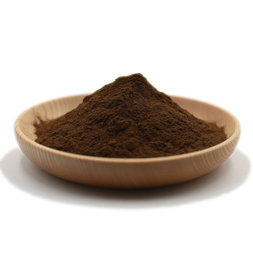 extrait bio de ganoderma lucidum en vrac