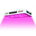 10 * 200W efecto invernadero LED crecen luces