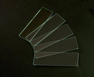 Microscope Slide-Plain