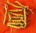 Cordyceps Sinensis Απόσπασμα 40% σκόνη πολυσακχαριτών