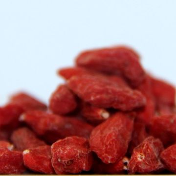 Size 320 Organic Goji Berry